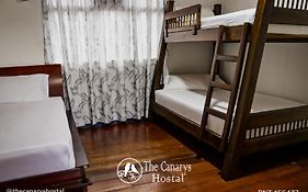 The Canarys Hostal
