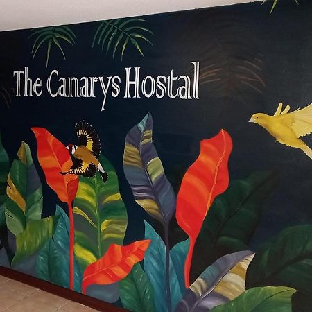 The Canarys Hostal Santa Rosa de Cabal Extérieur photo