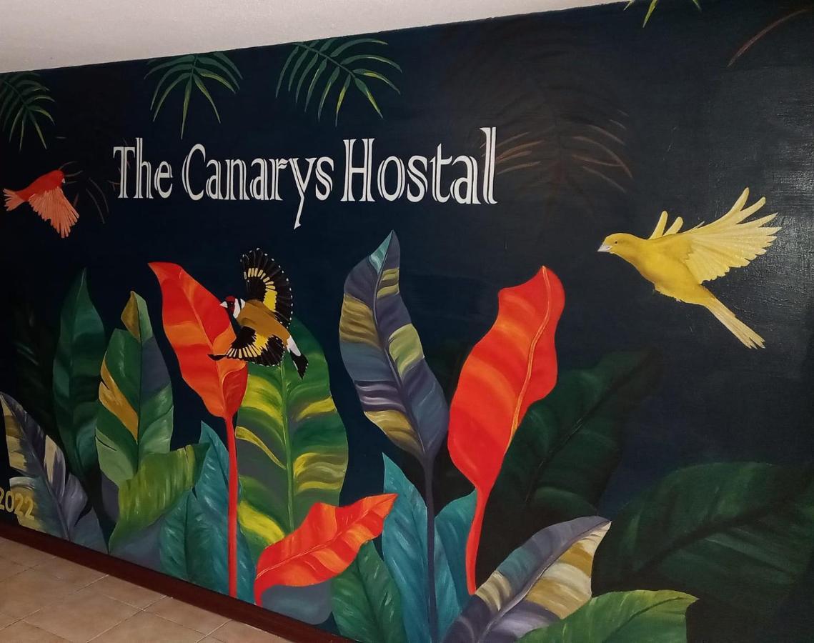 The Canarys Hostal Santa Rosa de Cabal Extérieur photo